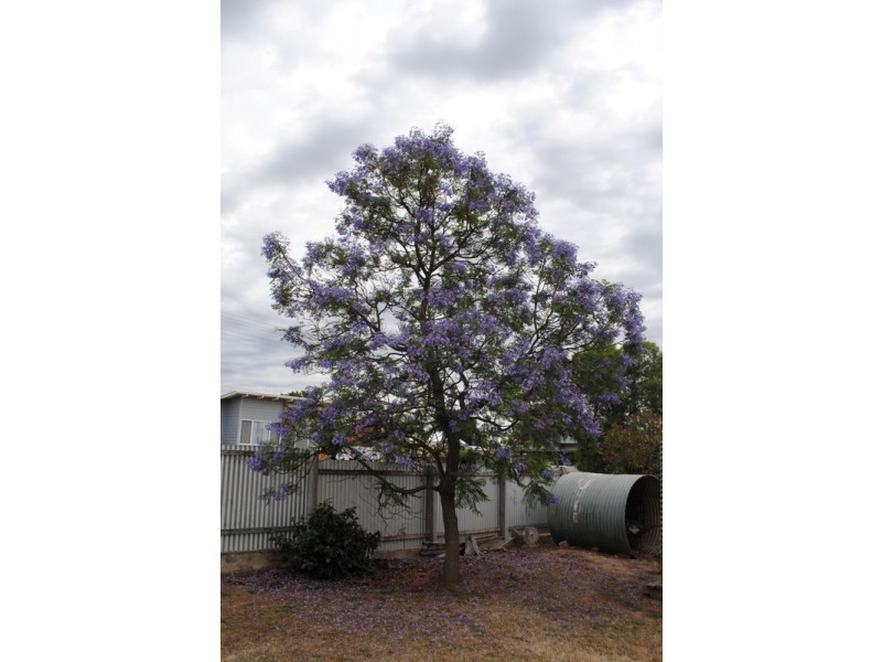 9 Newton Street, Maryborough VIC 3465