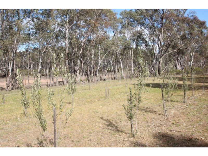 40 Peart Road, Betley VIC 3472