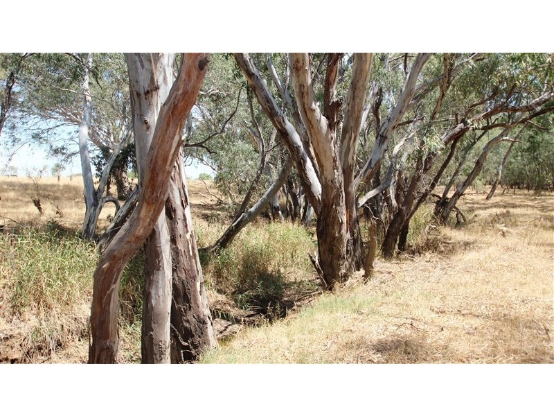 158 George Street, Bet Bet VIC 3472