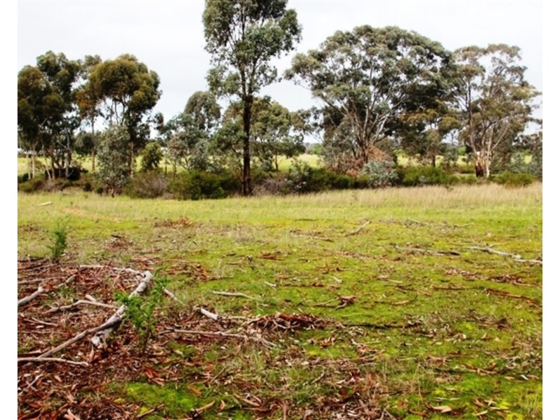 19 Du Bourg Road, Bowenvale VIC 3465