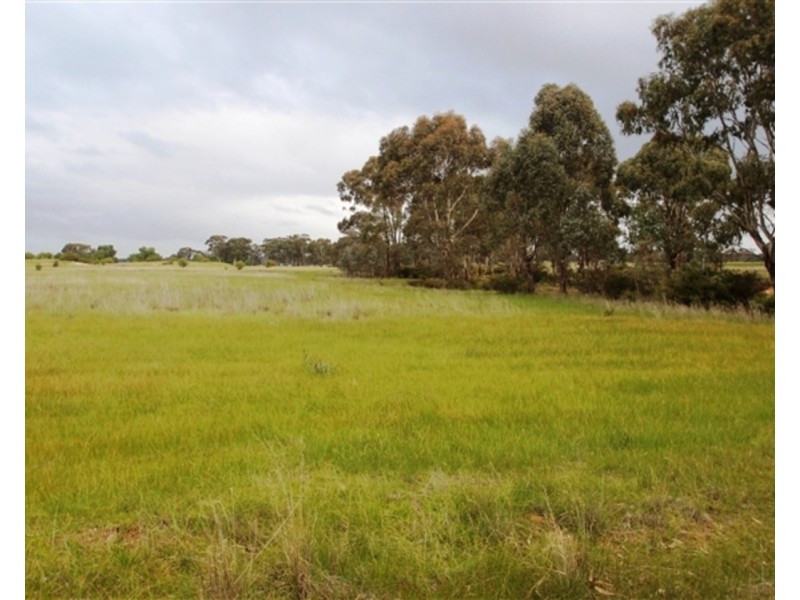 19 Du Bourg Road, Bowenvale VIC 3465