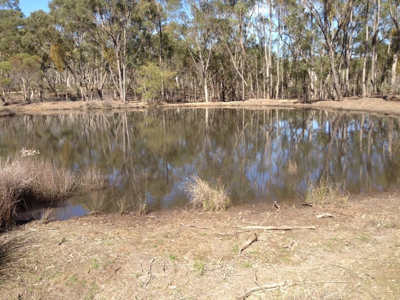 1360 Avoca-Talbot Road, Bung Bong VIC 3465