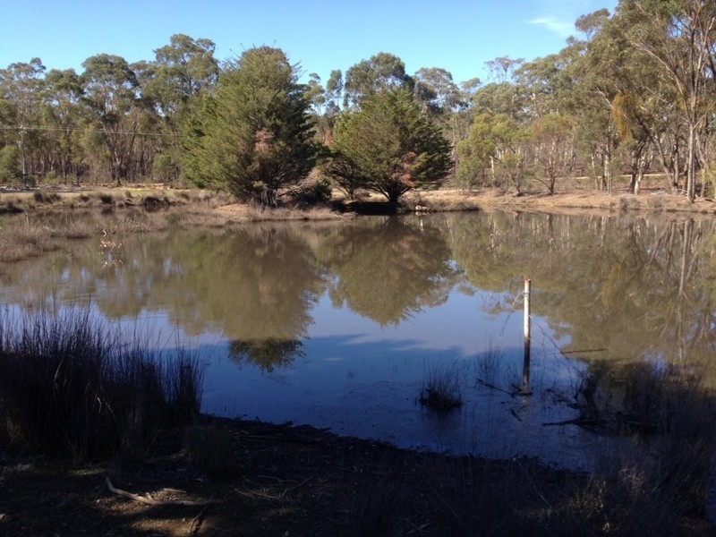 1360 Avoca-Talbot Road, Bung Bong VIC 3465