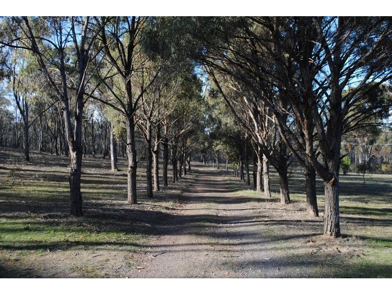 1360 Avoca-Talbot Road, Bung Bong VIC 3465