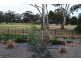 297 Gladstone Street, Maryborough VIC 3465