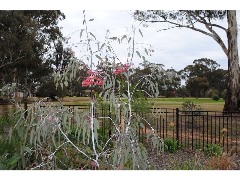 297 Gladstone Street, Maryborough VIC 3465