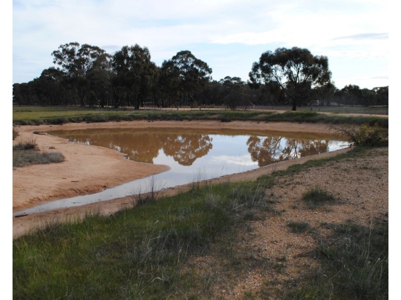 218 Alma-Bowenvale Road, Alma VIC 3465