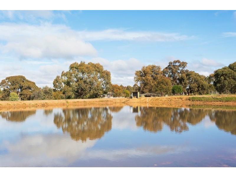 349 Waanyarra Road, Waanyarra VIC 3551