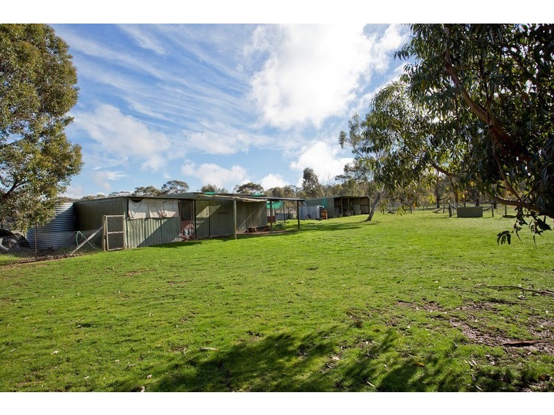 349 Waanyarra Road, Waanyarra VIC 3551