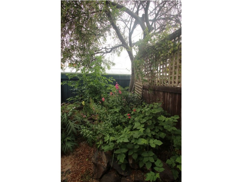 43 Park Road, Maryborough VIC 3465