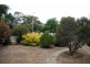 31 Park Road, Maryborough VIC 3465
