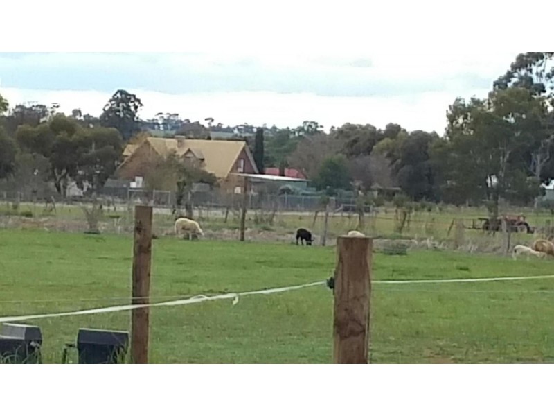 54 Belfast Road, Carisbrook VIC 3464