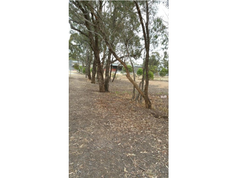 54 Belfast Road, Carisbrook VIC 3464