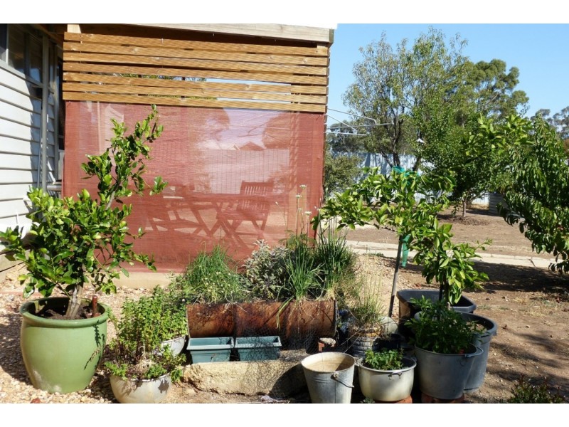 19 Hilton Street, Maryborough VIC 3465