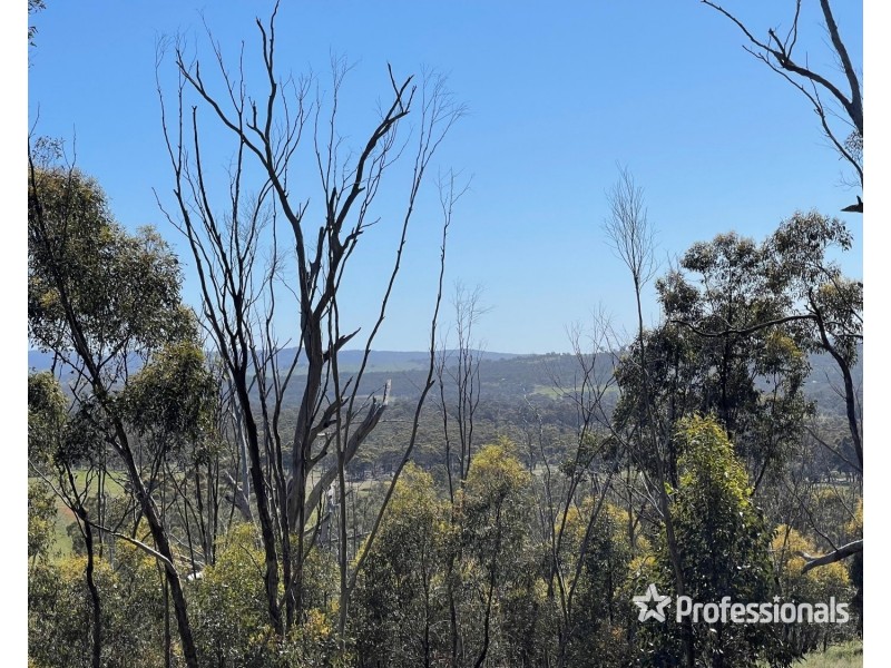 Lot Lot, 12 of Plan LP124551 Chinamans Lane, Moliagul VIC 3472