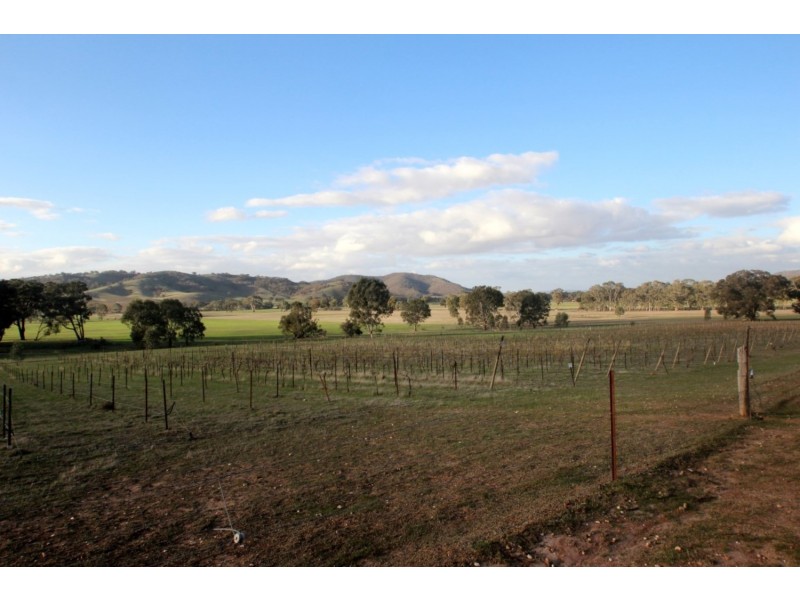 42 Walter’s Lane, Warrenmang VIC 3478