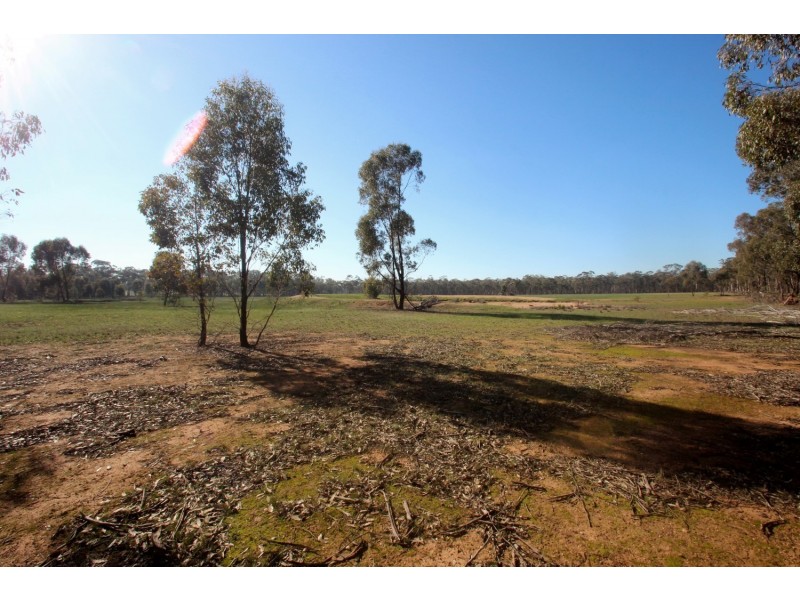 251 Dunolly – Timor Road, Dunolly VIC 3472