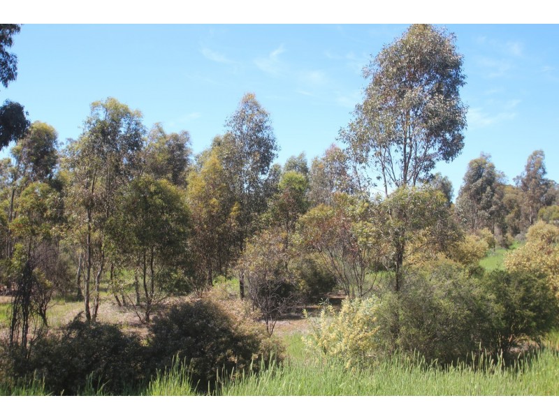 515 Maryborough-St Arnaud Road, Maryborough VIC 3465