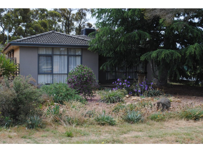 117 Brassey Street, Maryborough VIC 3465