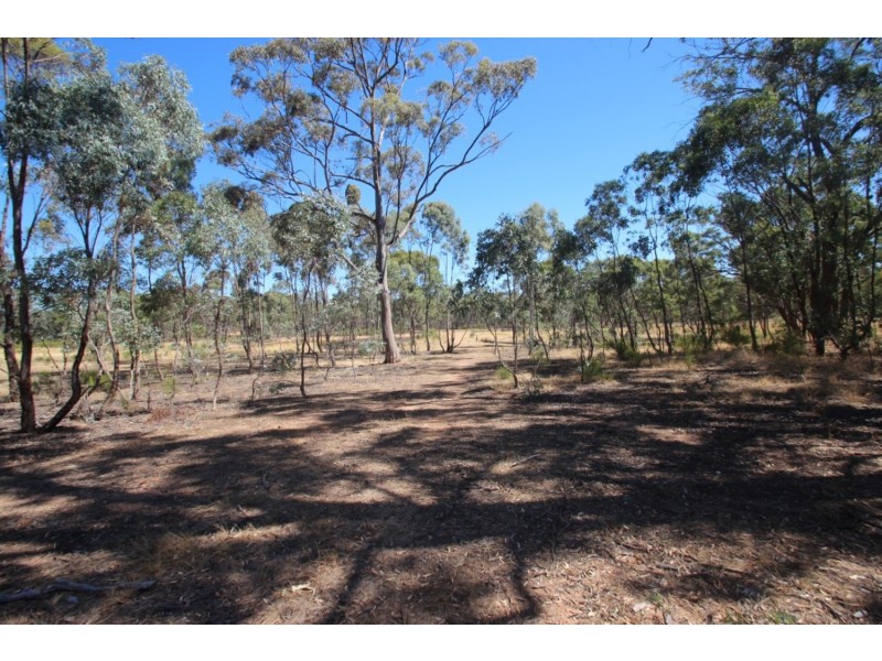 85 Svensons Road, Majorca VIC 3465