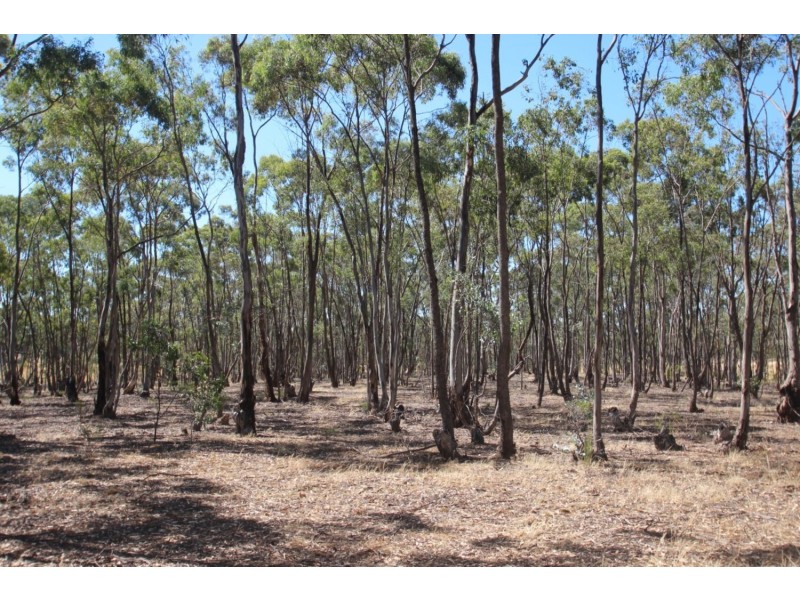 85 Svensons Road, Majorca VIC 3465