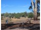 46 Middle Road, Dunolly VIC 3472