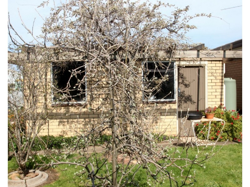 113 Inkerman Street, Maryborough VIC 3465