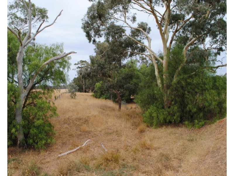 Lot Lots, 1&2 48 Mount Road, Bealiba VIC 3475