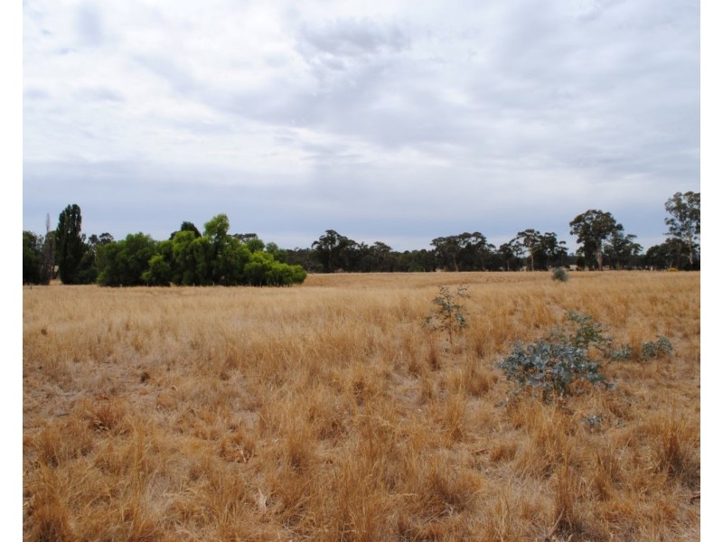 Lot Lots, 1&2 48 Mount Road, Bealiba VIC 3475