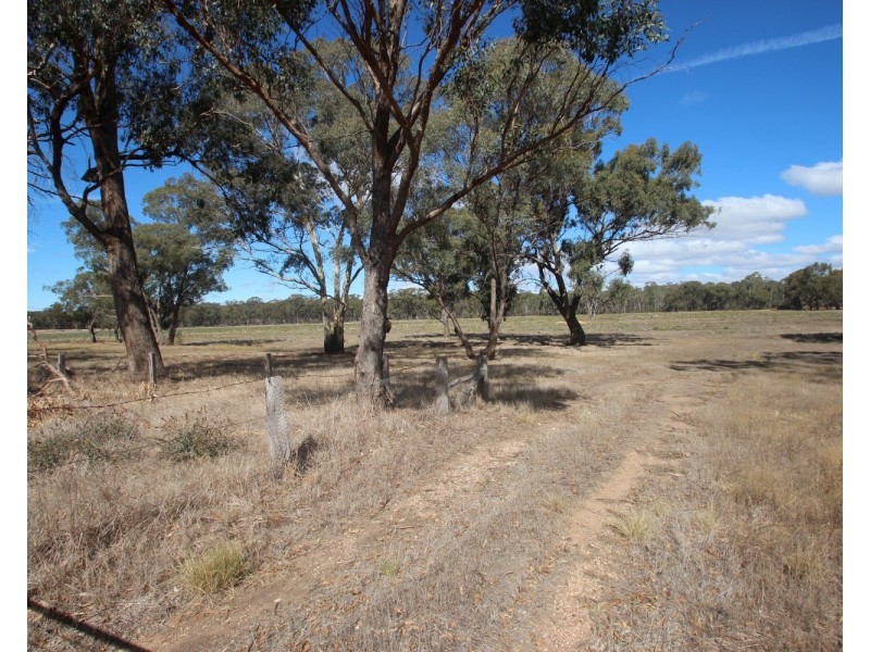 7 Madmans Lane, Flagstaff VIC 3465
