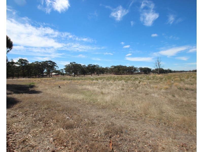 7 Madmans Lane, Flagstaff VIC 3465