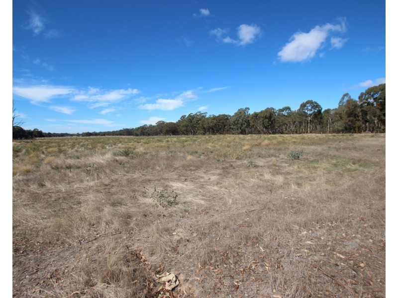 7 Madmans Lane, Flagstaff VIC 3465