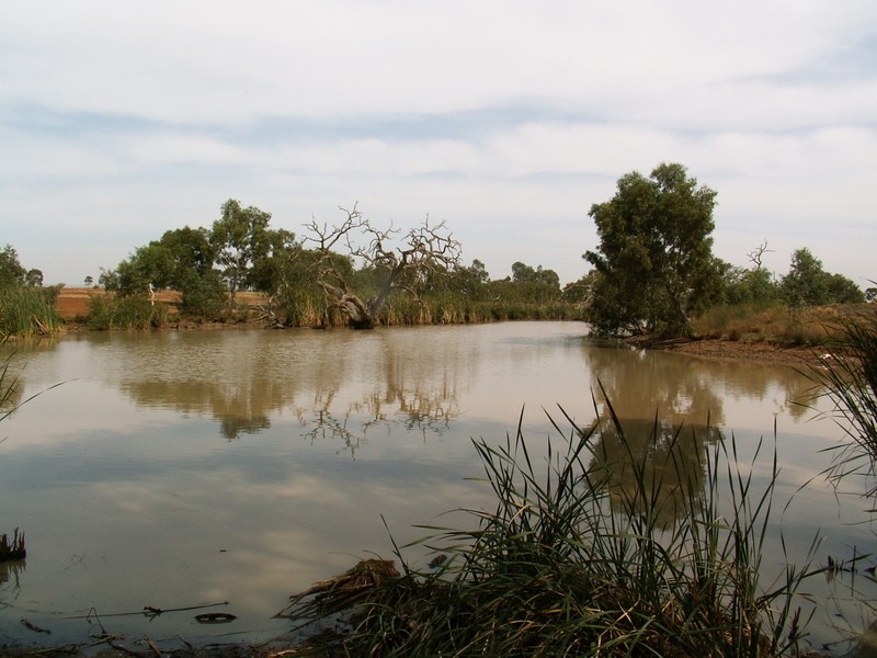 Lot 110 Silverleaf Drive, Melton VIC 3337