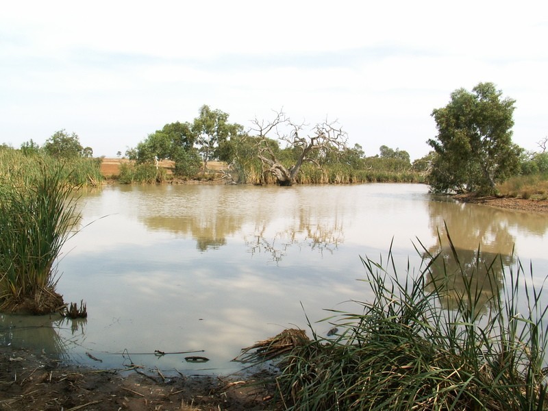 Lot 110 Silverleaf Drive, Melton VIC 3337