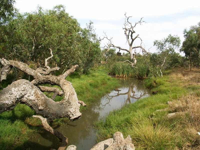 Lot 95 Poplar Close, Melton VIC 3337