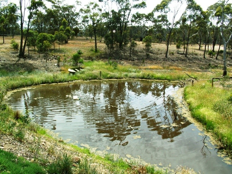 163 Hjorths Road, Toolern Vale VIC 3337