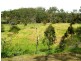 163 Hjorths Road, Toolern Vale VIC 3337