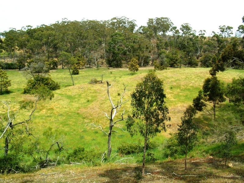 163 Hjorths Road, Toolern Vale VIC 3337
