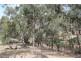 163 Hjorths Road, Toolern Vale VIC 3337