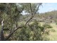 163 Hjorths Road, Toolern Vale VIC 3337