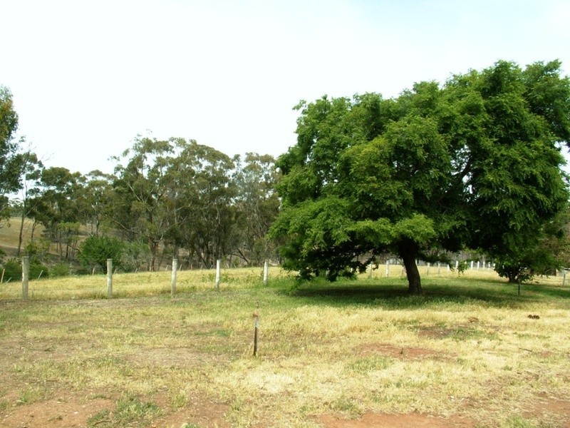 163 Hjorths Road, Toolern Vale VIC 3337