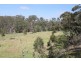 163 Hjorths Road, Toolern Vale VIC 3337