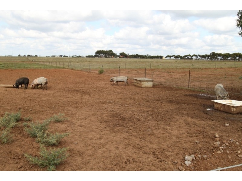 397-435 Harkness Road, Melton VIC 3337