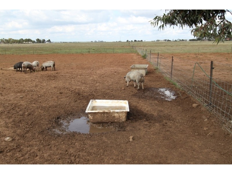 397-435 Harkness Road, Melton VIC 3337