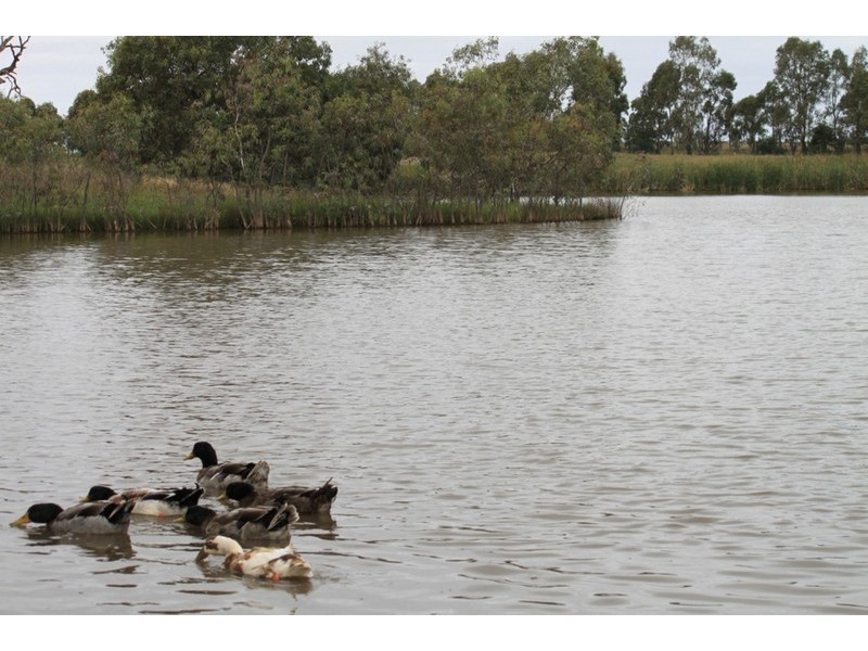 33 Lakewood Boulevard, Melton VIC 3337