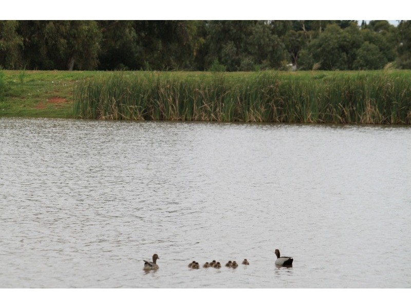 5 Poplar Close, Melton VIC 3337