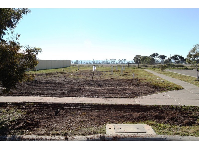 53 Featherhead Way, Melton West VIC 3337