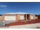 17 Longtree Drive, Melton West VIC 3337