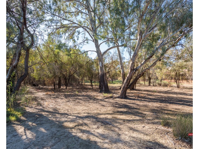 16 The Cobb & Co Way, Gol Gol NSW 2738