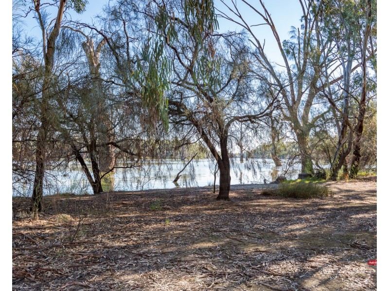 16 The Cobb & Co Way, Gol Gol NSW 2738